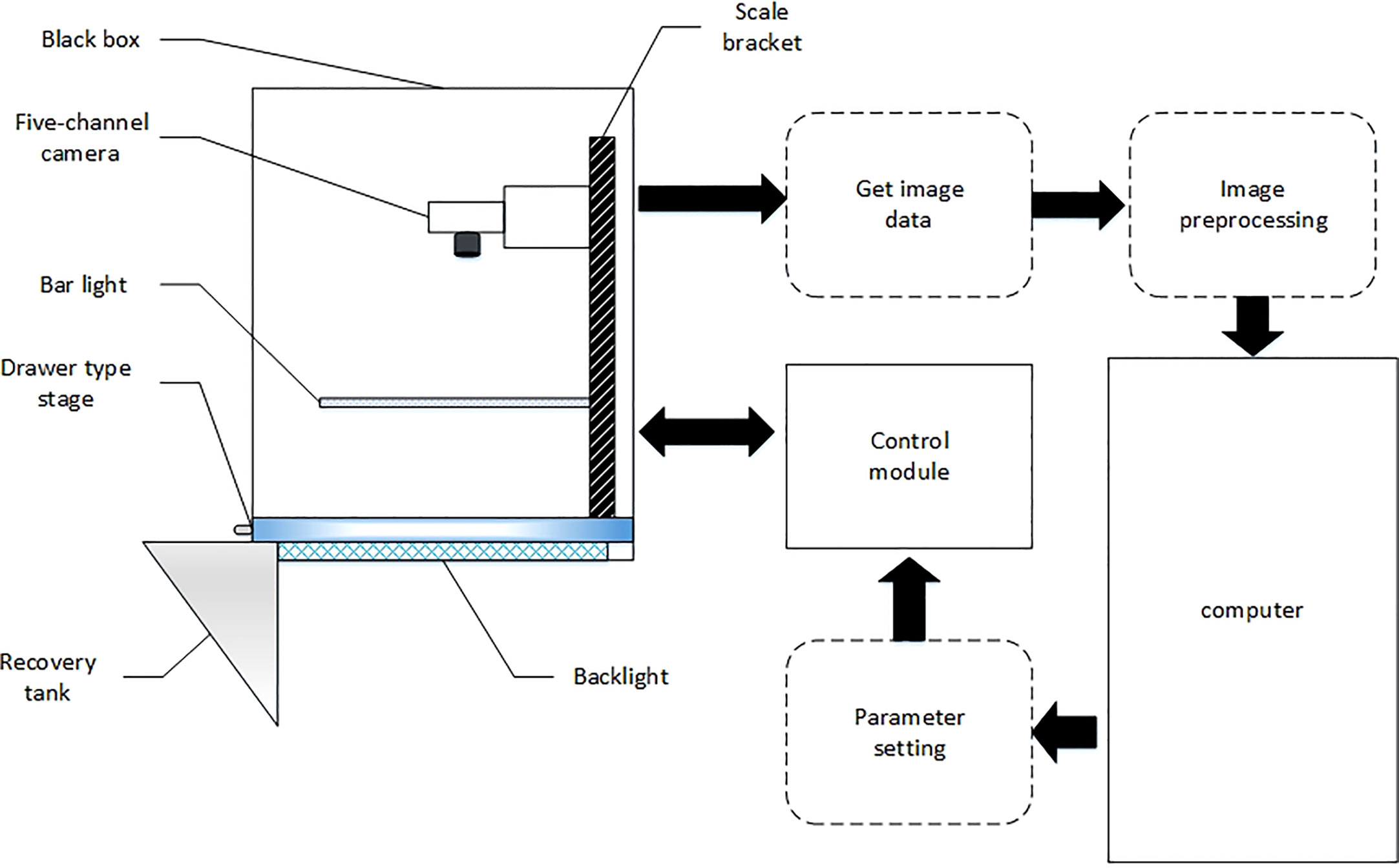 Frontiers   Rapid appearance quality of rice based on machine