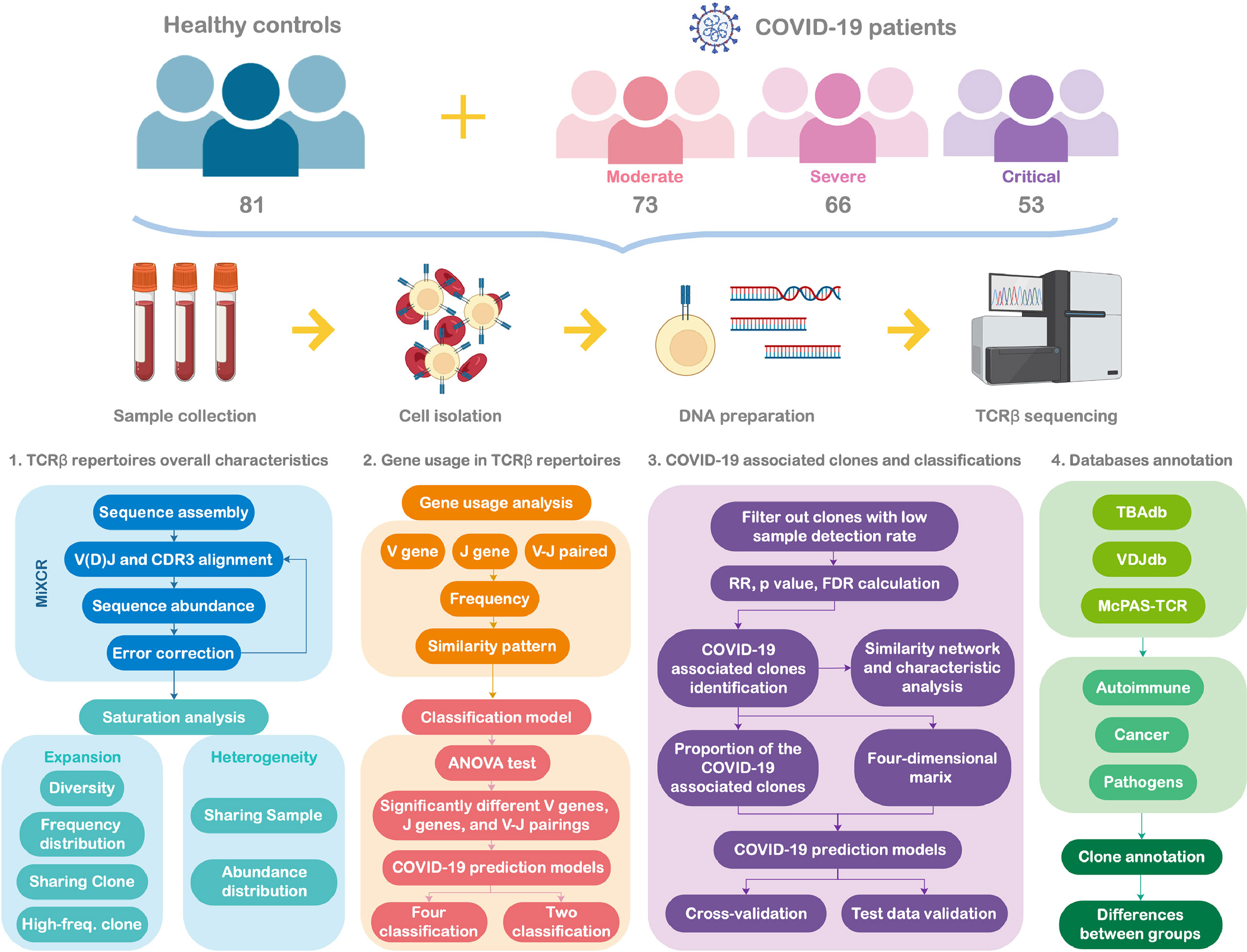 CMD vs BAT  Top 17 Differences to Learn with Infographics