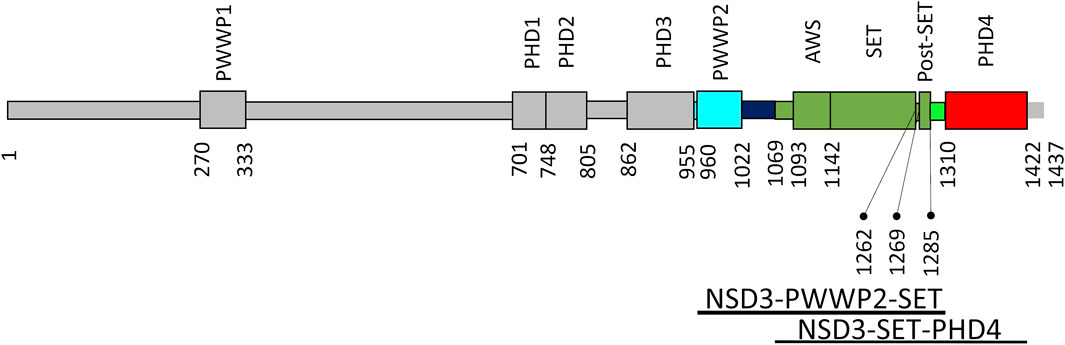 www.frontiersin.org