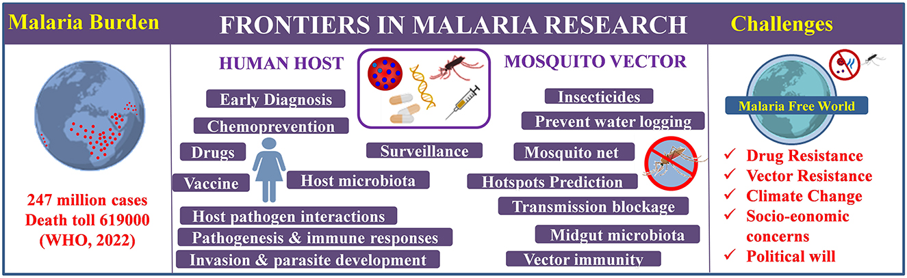 malaria research paper pdf