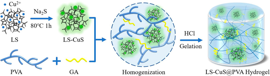 Frontiers  Nanomaterials for the treatment of bacterial infection by  photothermal/photodynamic synergism