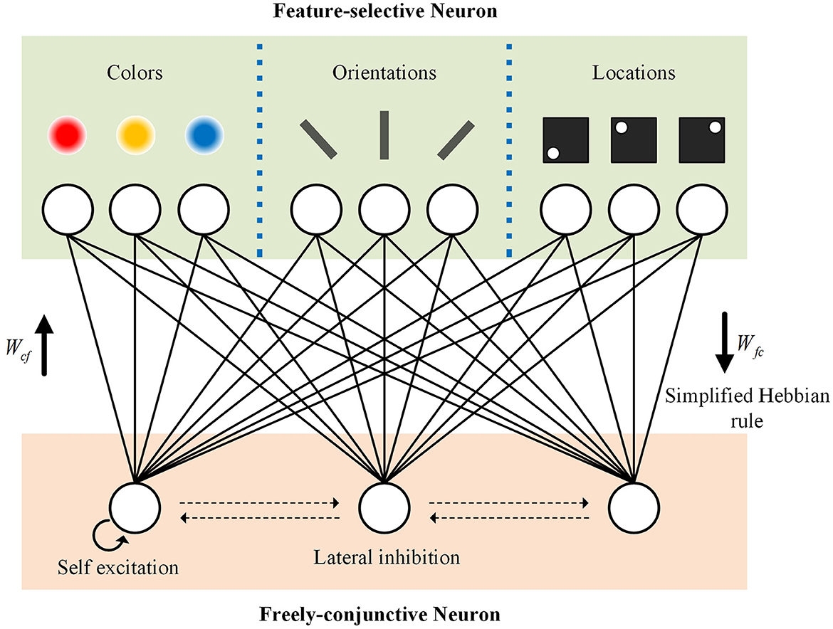 Frontiers  Synaptic Plasticity in Memristive Artificial Synapses