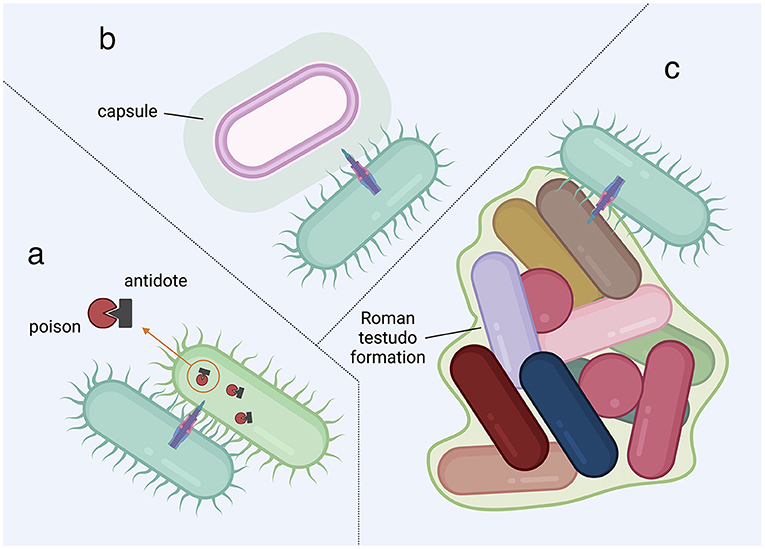 Figure 3 - Bacterial defenses.