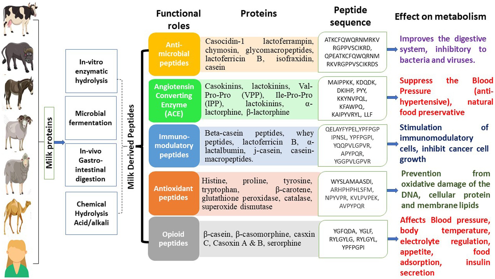 Frontiers  Limited Neonatal Carbohydrate-Specific Antibody