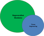 www.frontiersin.org