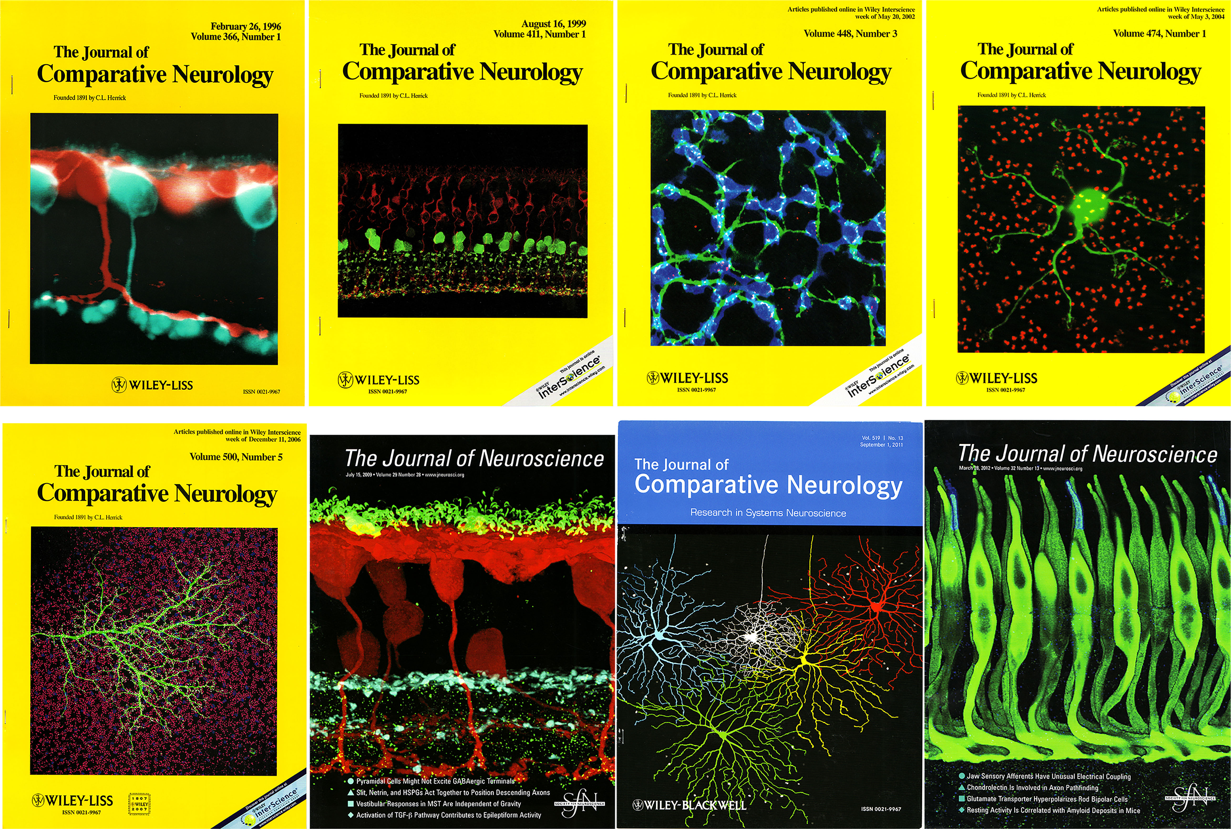 Journal of Comparative Neurology  Systems Neuroscience Journal