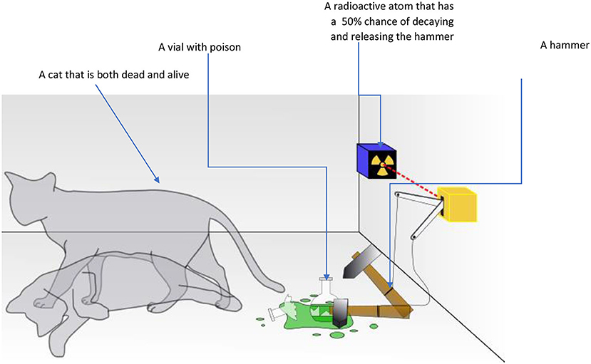 Figure 3 - In Schrödinger’s thought experiment, a sealed box contains a cat, a vial of poison, and a radioactive atom that has a 50% chance of breaking down during the experiment.