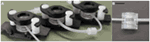 www.frontiersin.org