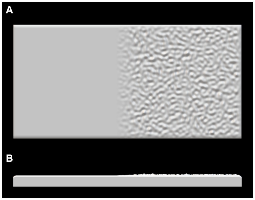 www.frontiersin.org