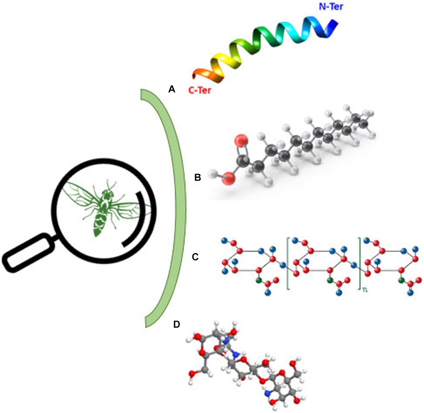 Frontiers  Insects as an alternative protein source for poultry