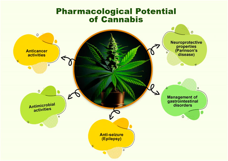 Goods and Bads of the Endocannabinoid System as a Therapeutic Target:  Lessons Learned after 30 Years