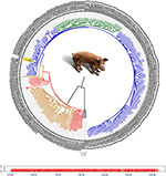 www.frontiersin.org