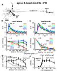 www.frontiersin.org
