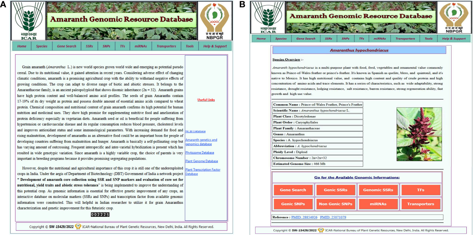 Frontiers  Identification of WRKY gene family members in amaranth based on  a transcriptome database and functional analysis of AtrWRKY42-2 in betalain  metabolism