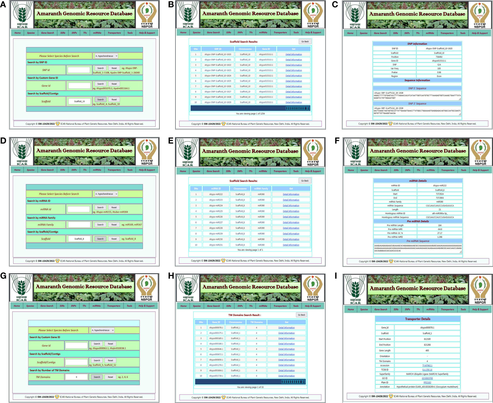 Frontiers  Identification of WRKY gene family members in amaranth based on  a transcriptome database and functional analysis of AtrWRKY42-2 in betalain  metabolism