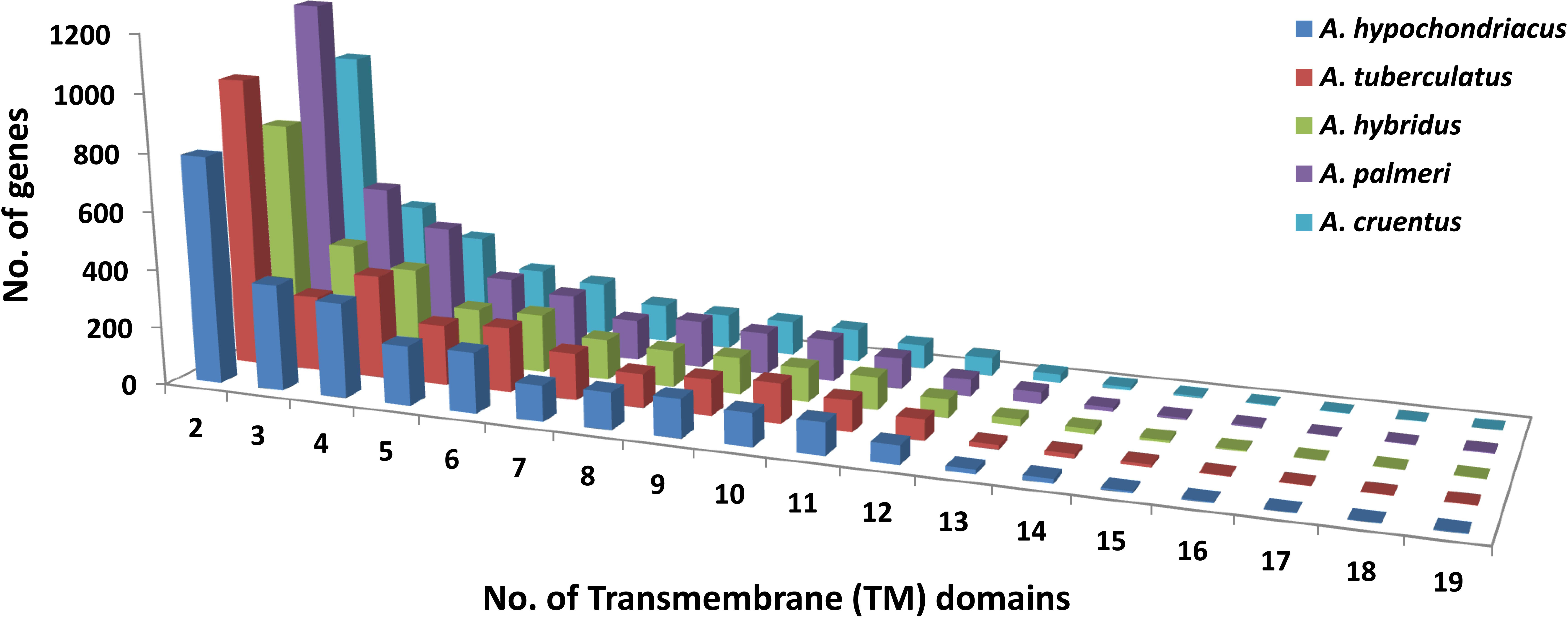 Frontiers  Identification of WRKY gene family members in amaranth based on  a transcriptome database and functional analysis of AtrWRKY42-2 in betalain  metabolism