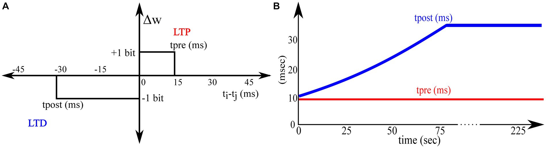 Frontiers | Adaptive STDP-based on-chip spike pattern detection