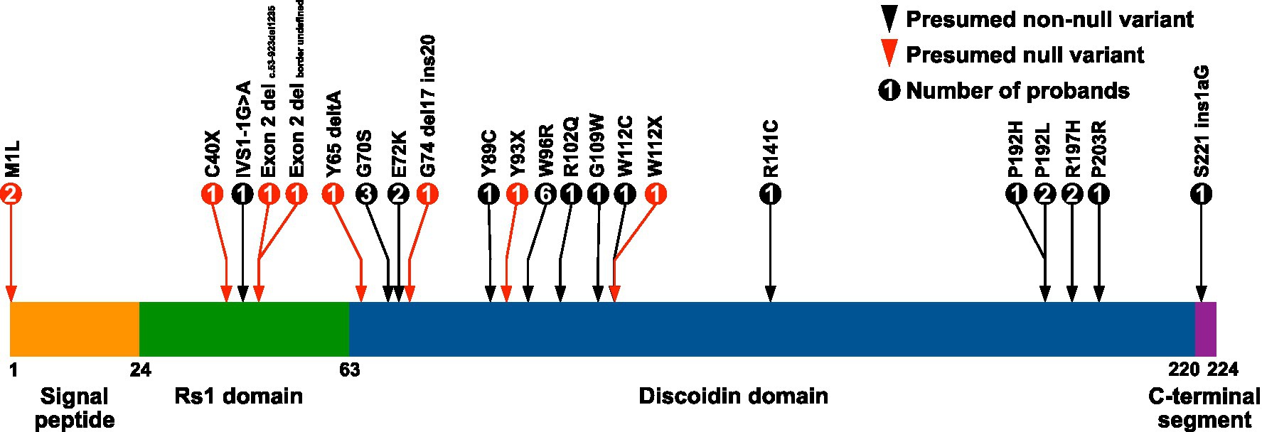 www.frontiersin.org