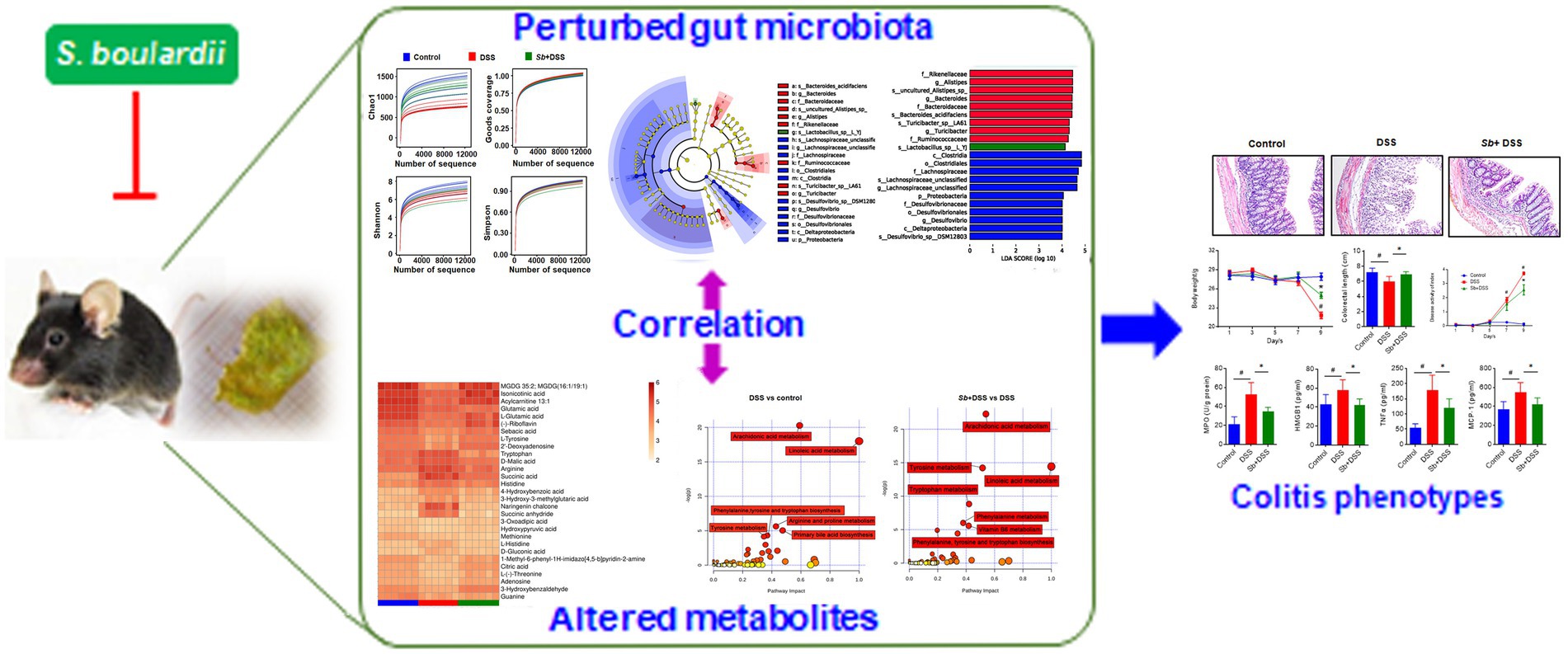 Diversity of Saccharomyces boulardii CNCM I-745 mechanisms of action  against intestinal infections