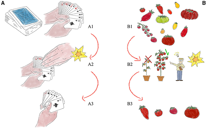 Figure 1 - Genetic erosion within a plant population.