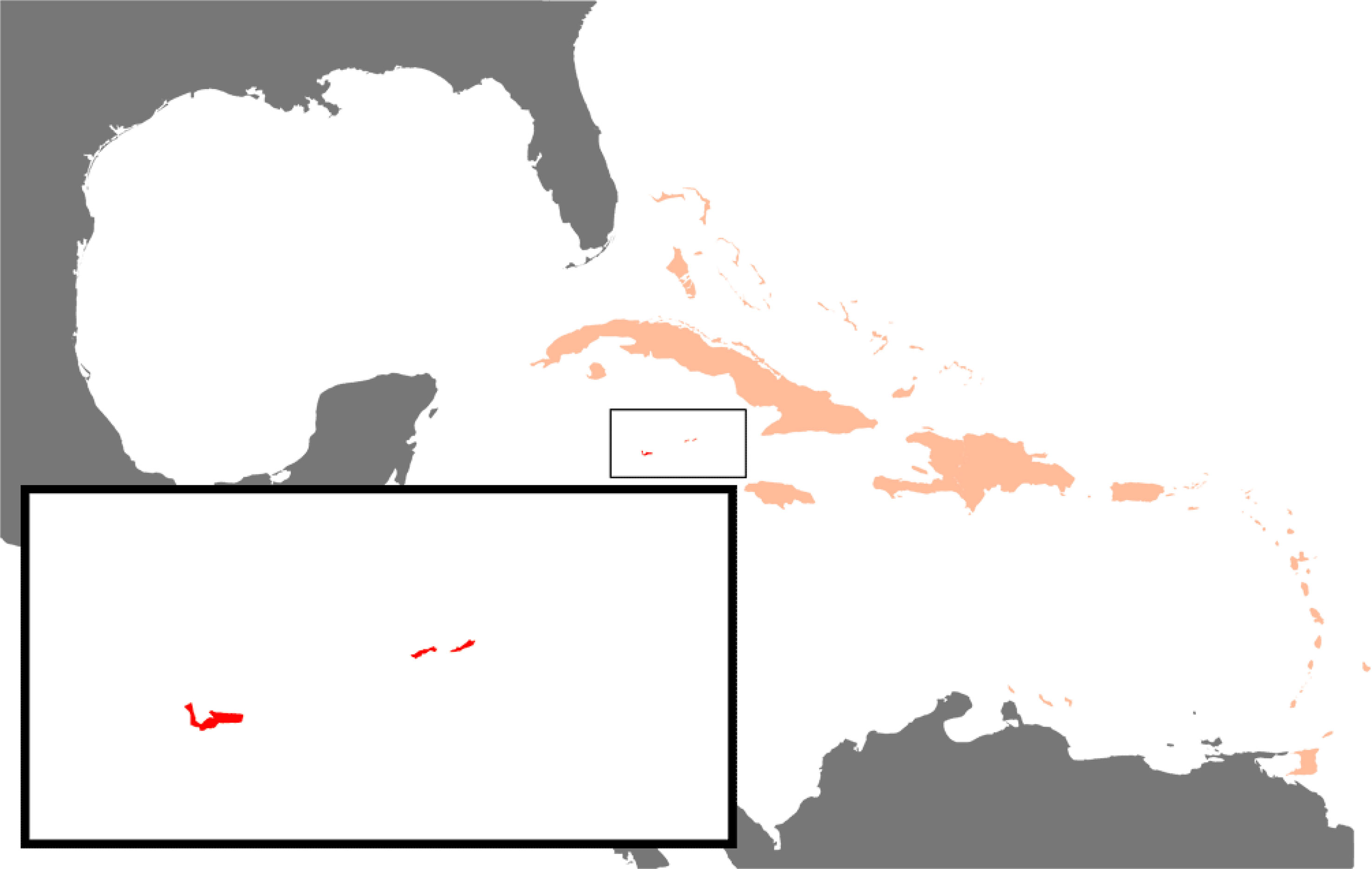 www.frontiersin.org