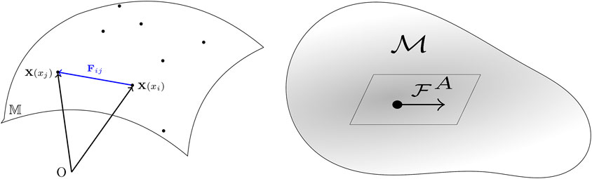 www.frontiersin.org