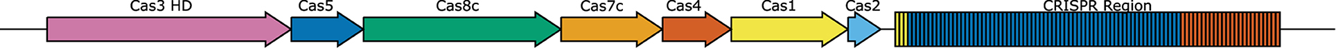 www.frontiersin.org