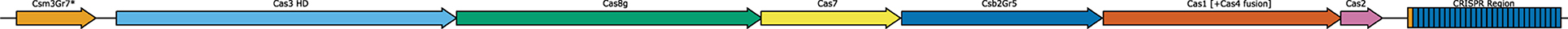 www.frontiersin.org