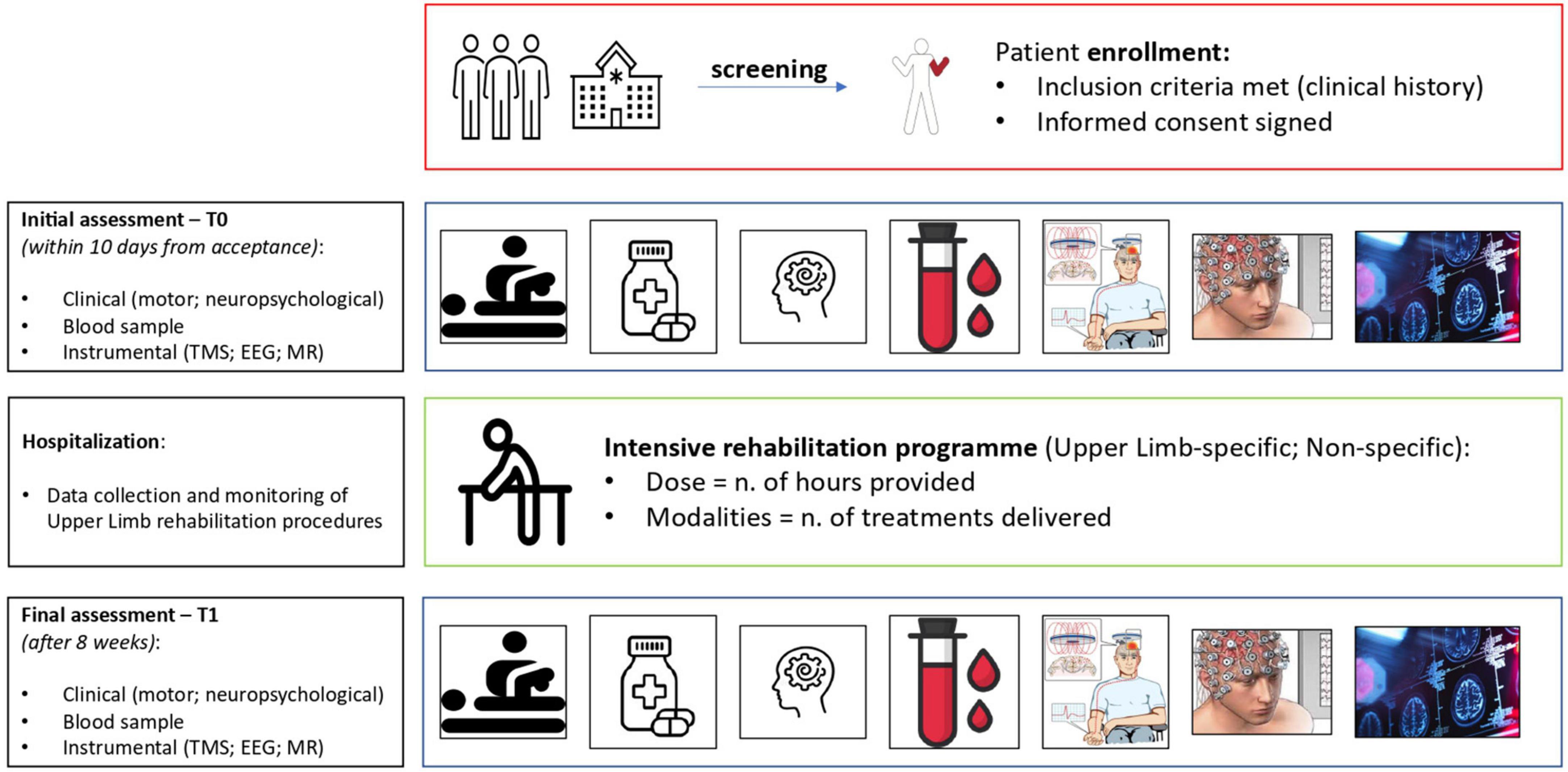 Frontiers  Prediction of rehabilitation induced motor recovery