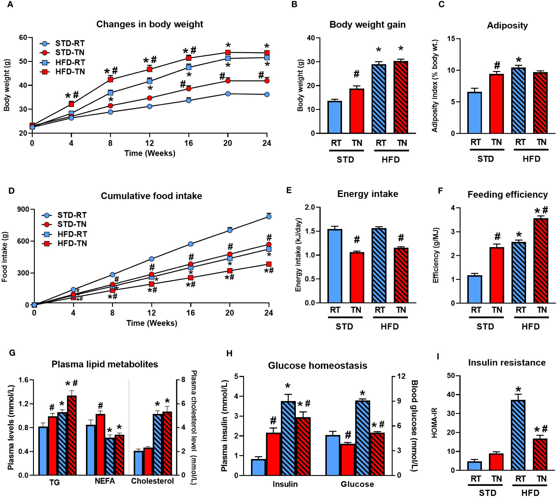 Where are Phospholipids Primarily Found in the Body : Vital Locations Revealed