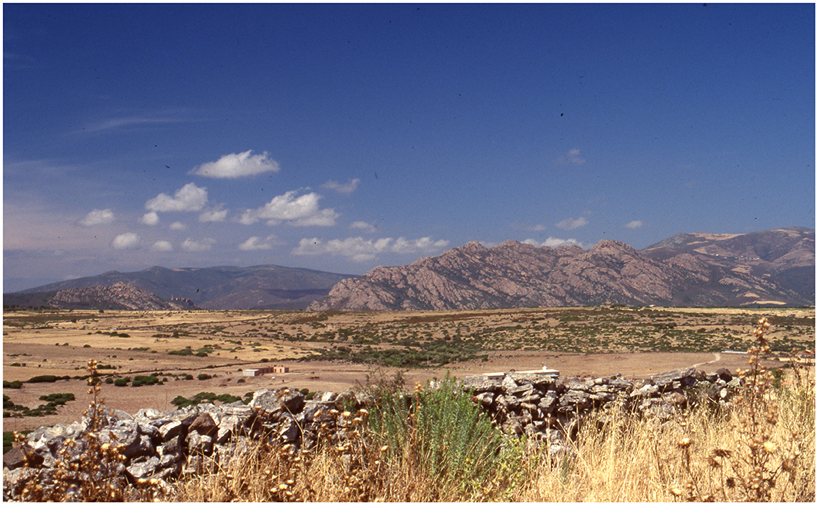 www.frontiersin.org