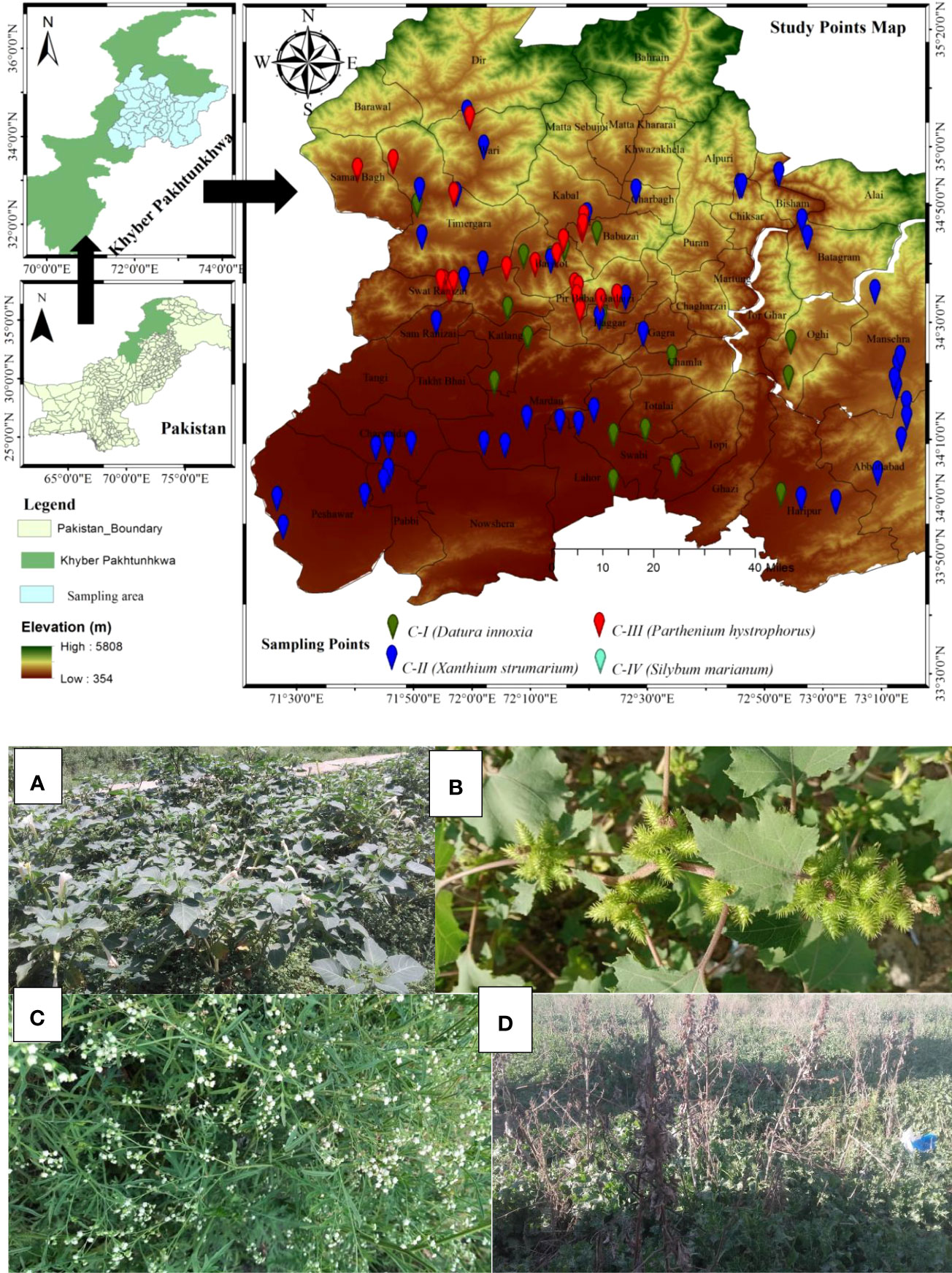 PDF) Mapping the spatial distribution of the invasive Mexican