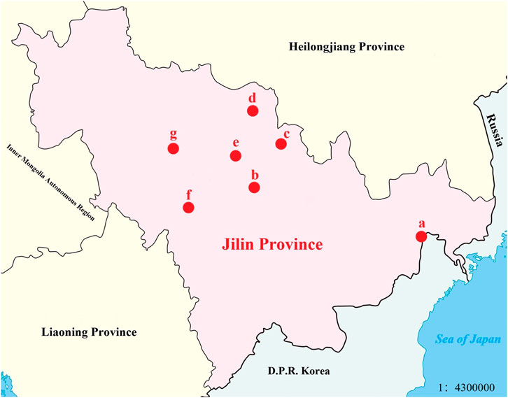 www.frontiersin.org
