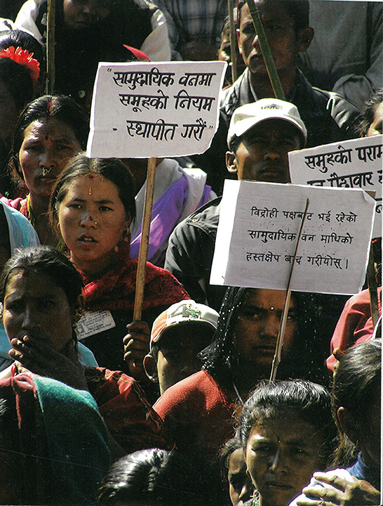 www.frontiersin.org