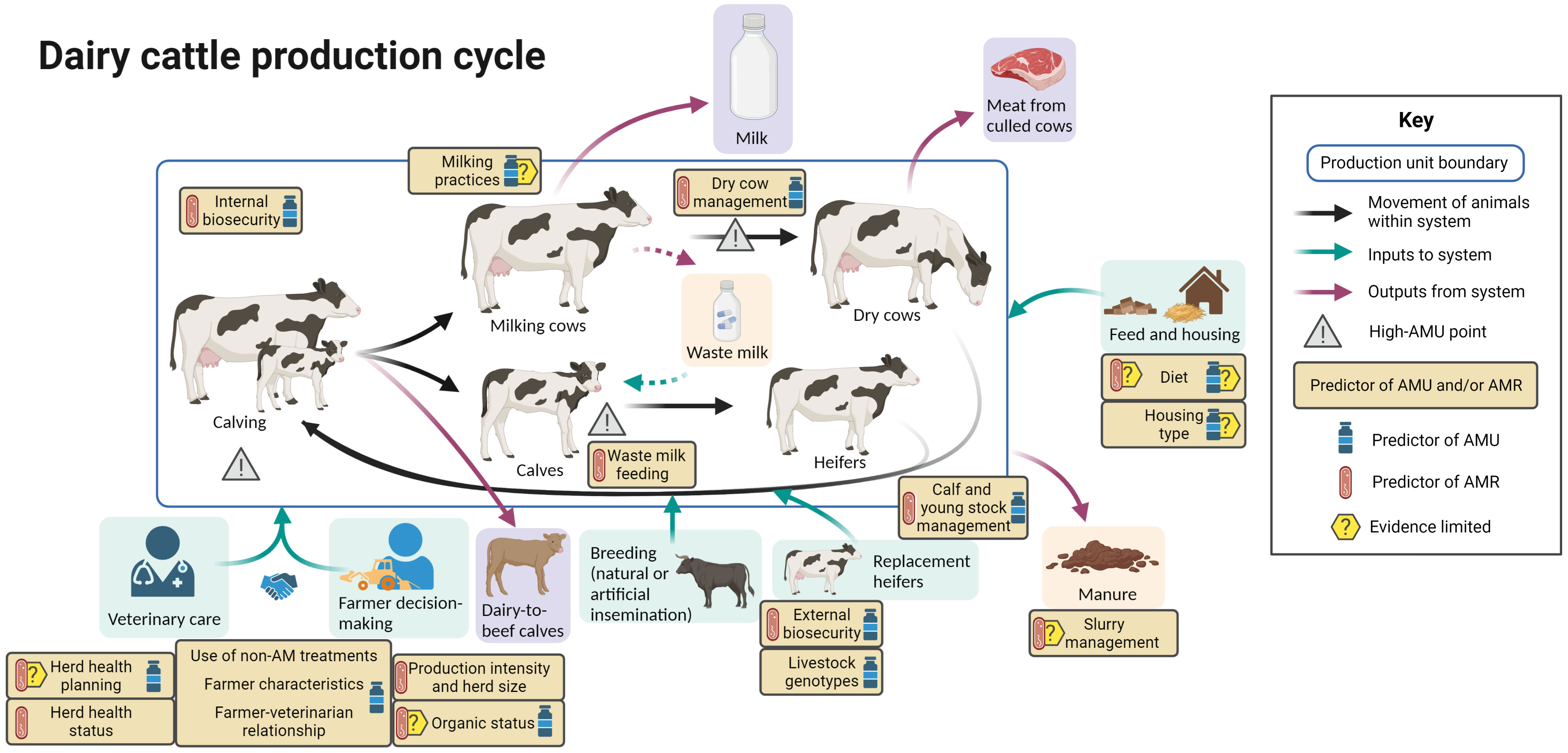 Frontiers | A review of the predictors of antimicrobial use and