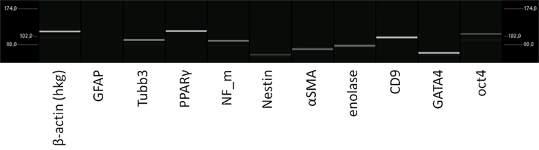 www.frontiersin.org