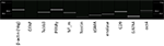 www.frontiersin.org