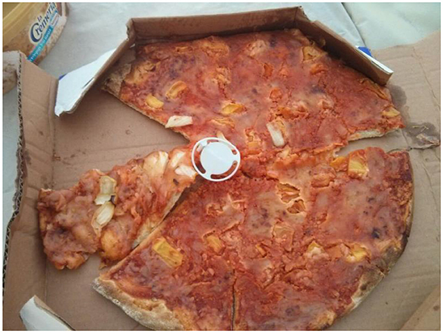 Figure 3 - Some food waste consists of partially eaten food that was thrown away, like this pizza with only one slice gone (Photo credit: Efrat Elimelech).