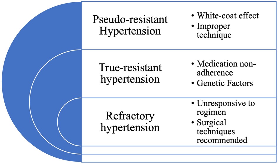 Myocardial Strain Imaging in Resistant Hypertension