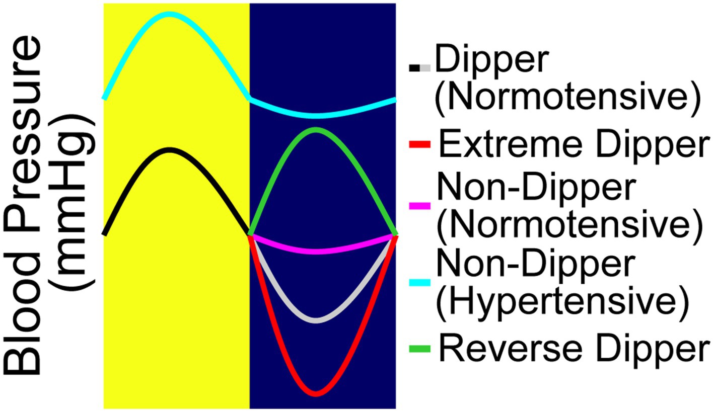 Attenuation of hypertension by C-fiber stimulation of the human