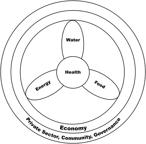 www.frontiersin.org