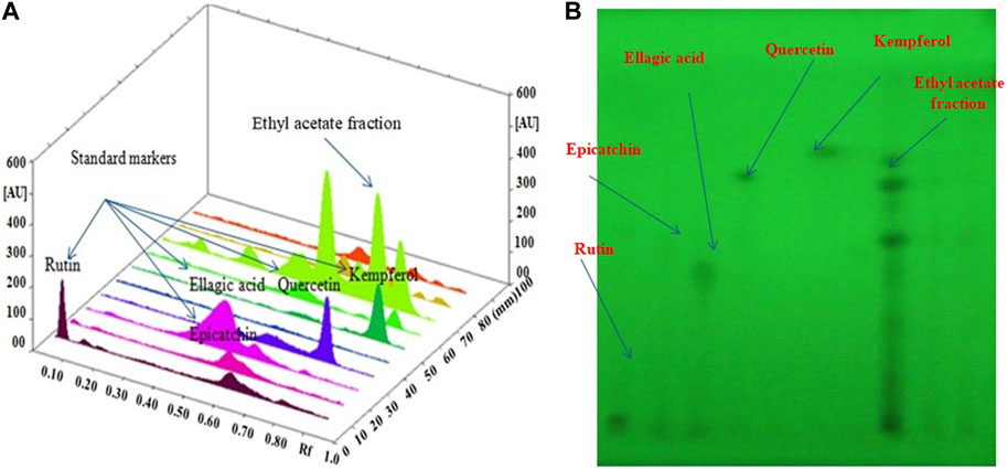 Frontiers | hepatoprotective effects of bioactive compounds from