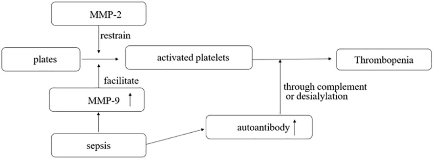 PLATEX SYRUP (PLATELET DYSFUNTION AND THROMBOCYTOPENIA DUE TO CHEMOTHE