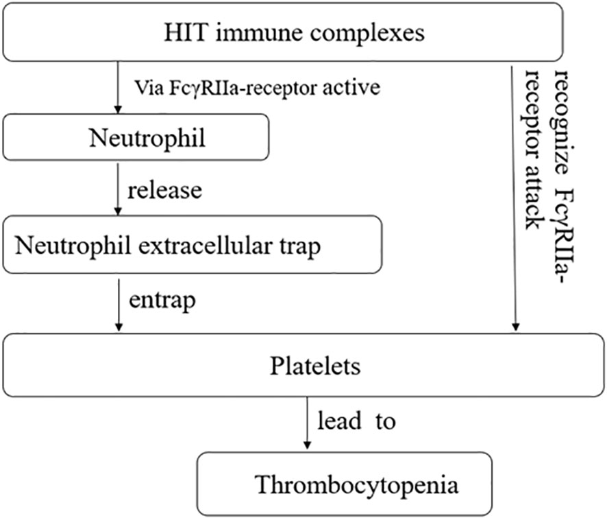 PLATEX SYRUP (PLATELET DYSFUNTION AND THROMBOCYTOPENIA DUE TO CHEMOTHE