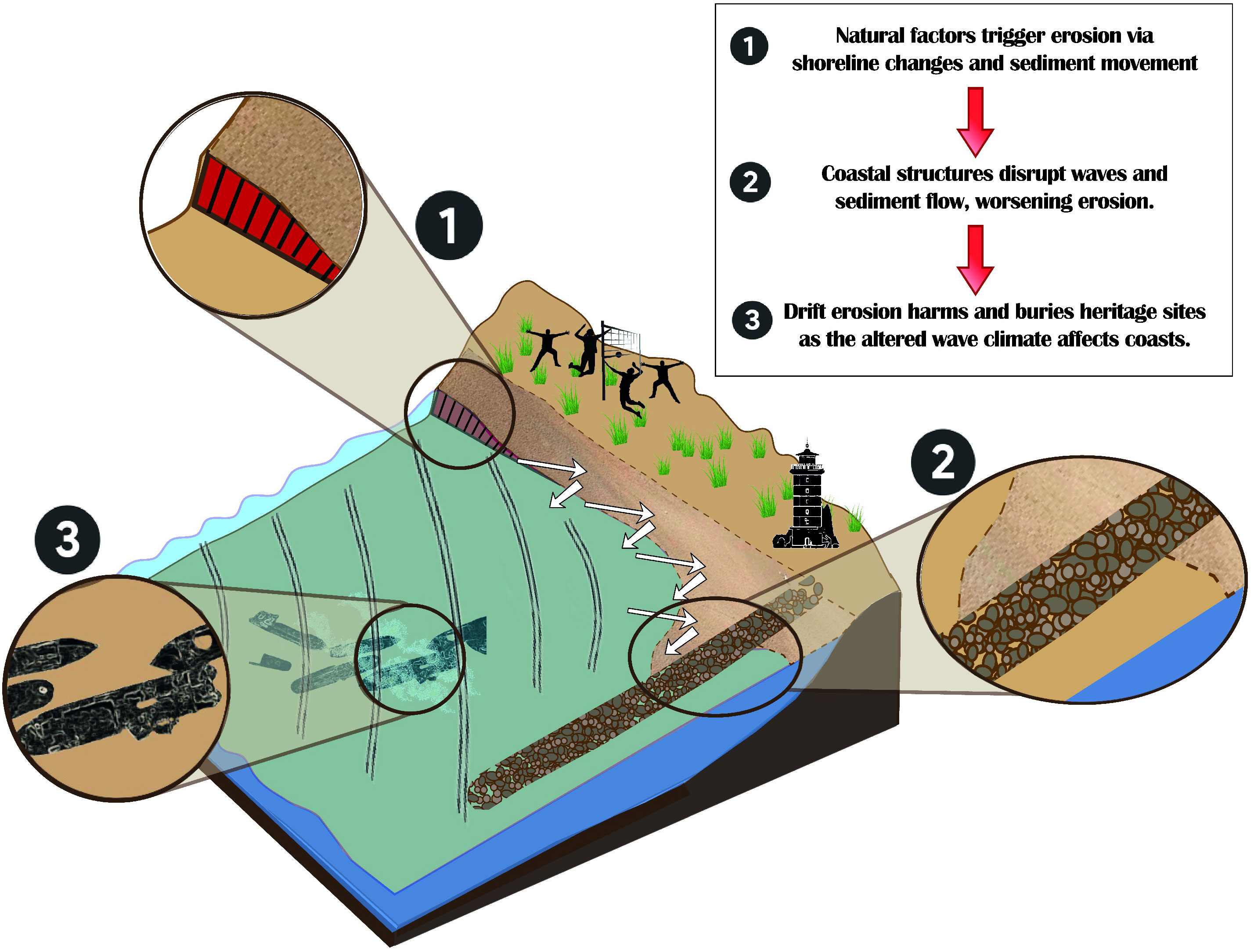 Field Notes 2019  Center for Coastal Studies