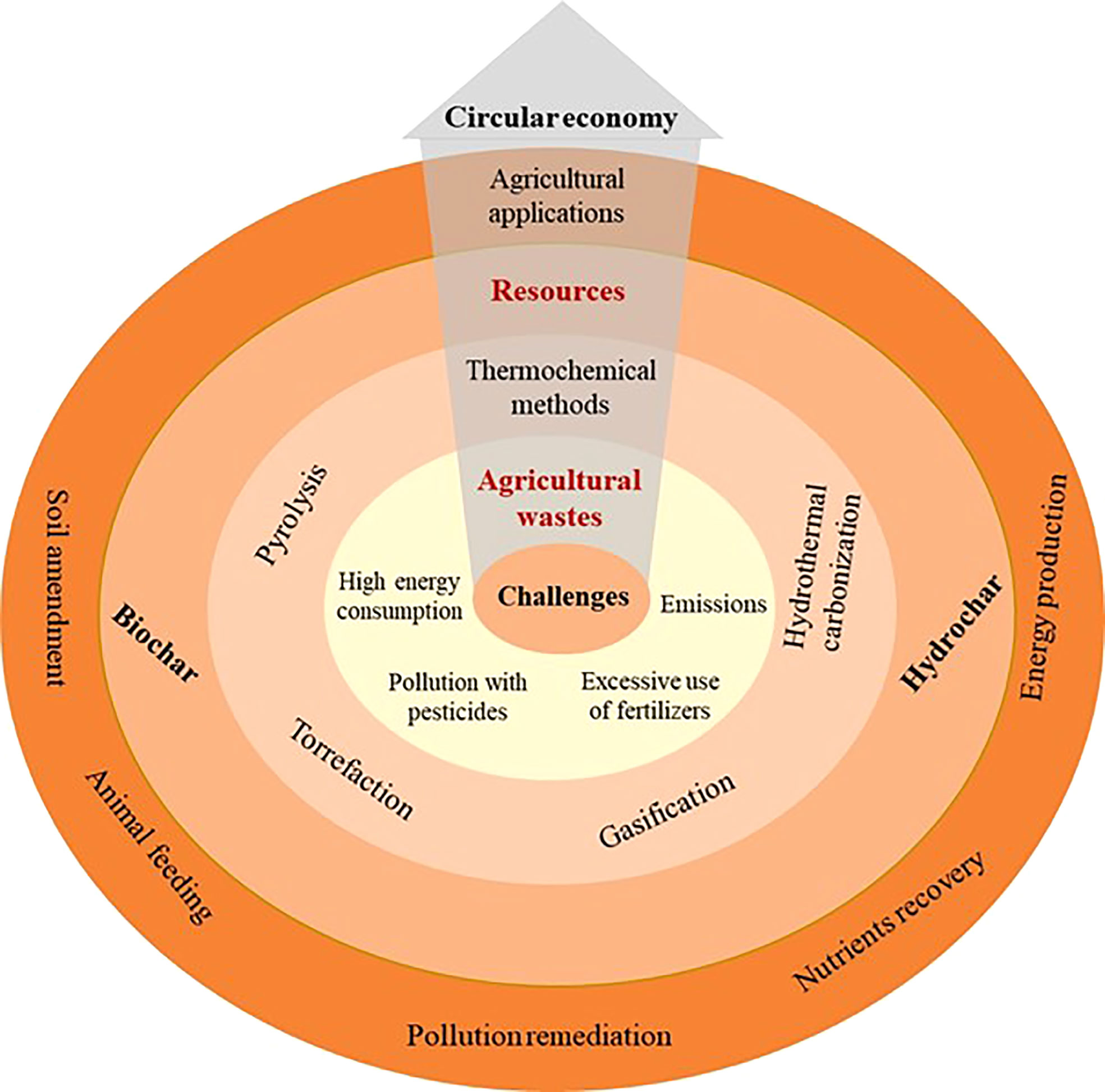 Biochar mitigates bioavailability and environmental risks of