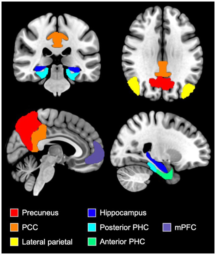 Frontiers  Neural activity in adults with major depressive disorder  differs from that in healthy individuals: A resting-state functional  magnetic resonance imaging study