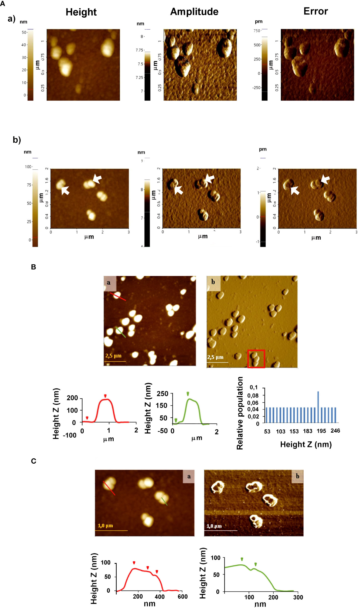 Frontiers  Comparative microRNA profiling of Trypanosoma cruzi infected  human cells