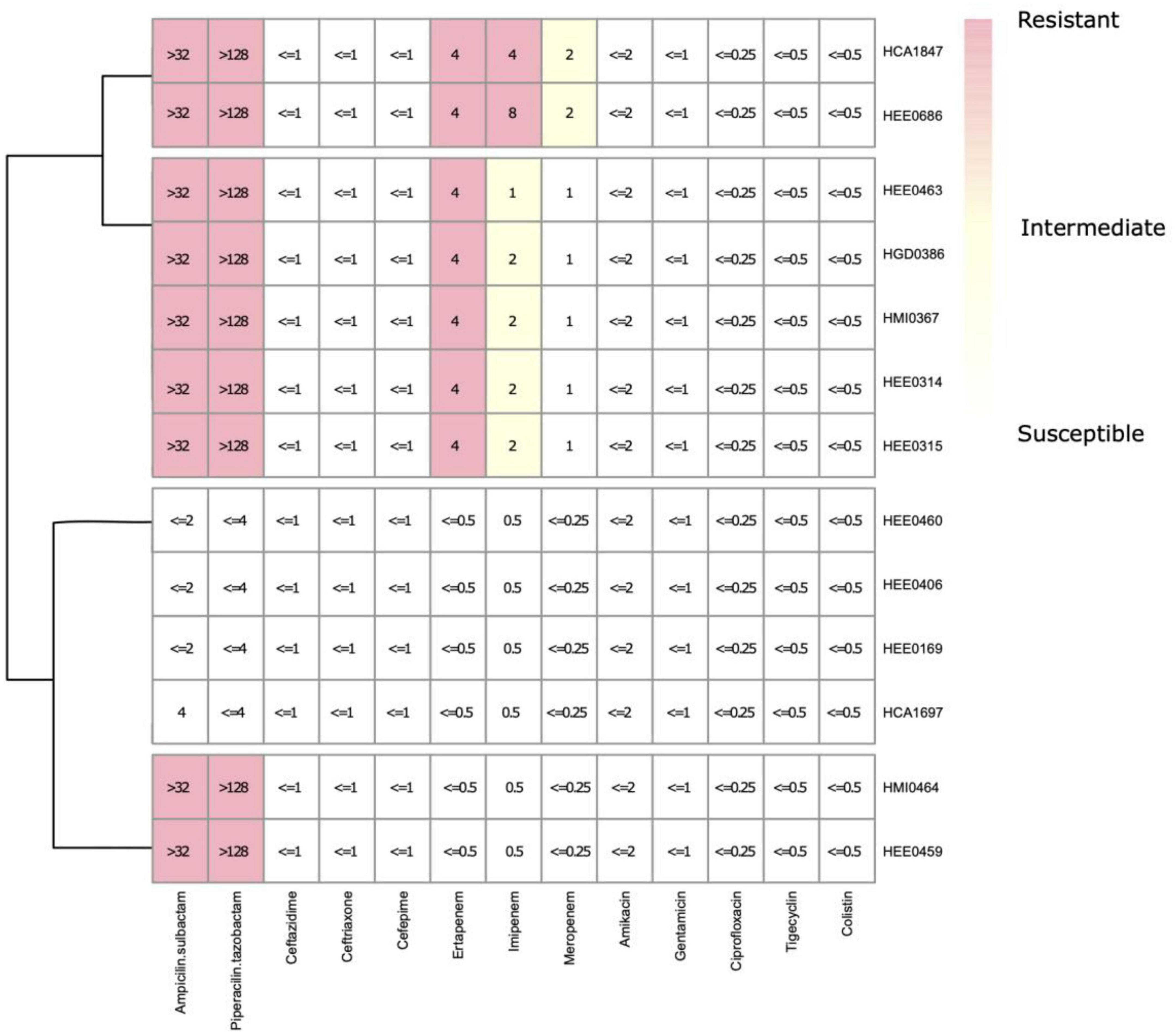 Microbial Comparative Genomics and Pangenomics: New Tools, Approaches And  Insights Into Gene and Genome Evolution