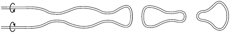 www.frontiersin.org